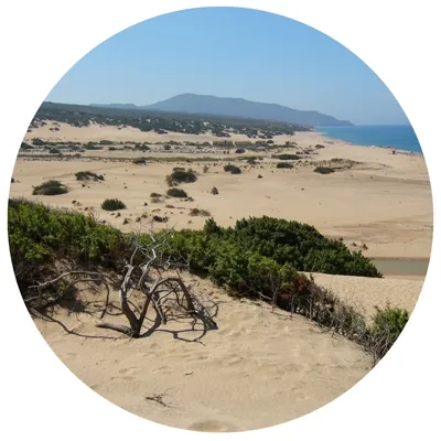 dunes_les-bonnes-pratiques
